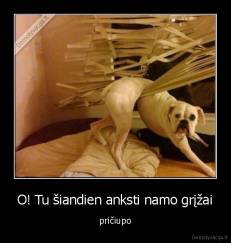 O! Tu šiandien anksti namo grįžai - pričiupo