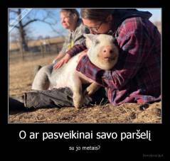 O ar pasveikinai savo paršelį - su jo metais?