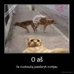 O aš - Va nuotrauką pasidaryti norėjau