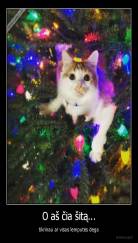 O aš čia šitą... - tikrinau ar visos lemputės dega