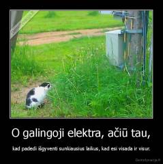 O galingoji elektra, ačiū tau, - kad padedi išgyventi sunkiausius laikus, kad esi visada ir visur.