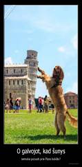 O galvojot, kad šunys - nemoka pozuoti prie Pizos bokšto?