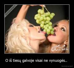 O iš tiesų galvoje visai ne vynuogės..  - 
