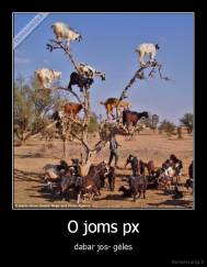 O joms px - dabar jos- gėlės