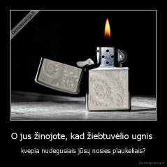 O jus žinojote, kad žiebtuvėlio ugnis  - kvepia nudegusiais jūsų nosies plaukeliais?