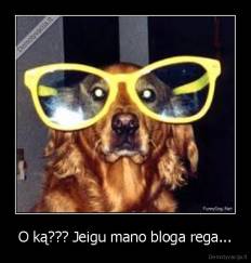 O ką??? Jeigu mano bloga rega... - 