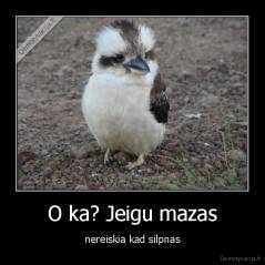 O ka? Jeigu mazas - nereiskia kad silpnas