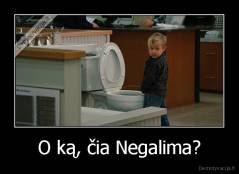 O ką, čia Negalima? - 