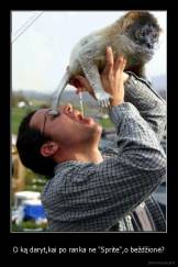 O ką daryt,kai po ranka ne "Sprite",o beždžionė? - 