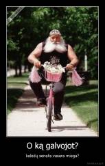 O ką galvojot? - kalėdų senelis vasara miega?