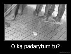 O ką padarytum tu? - 