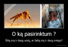 O ką pasirinktum ? - Šiltą orą ir daug uodų, ar šaltą orą ir daug sniego?