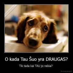 O kada Tau Šuo yra DRAUGAS? - Tik tada kai TAU jo reikia? 