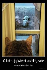 O kai tu ją kvietei susitikti, sakė - kad neturi laiko - užimta diena