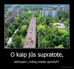 O kaip jūs supratote, - važiuojam į mišką miesto aprodyti? 