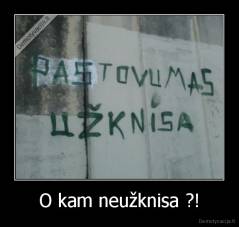 O kam neužknisa ?! - 