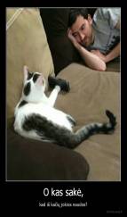 O kas sakė, - kad iš kačių jokios naudos?