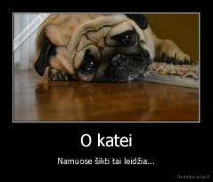 O katei - Namuose šikti tai leidžia...