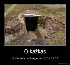 O kažkas - Gi dar sėdi bunkeryje nuo 2012.12.12