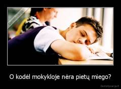 O kodėl mokykloje nėra pietų miego? - 