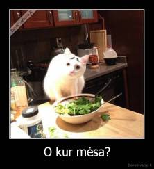 O kur mėsa? - 
