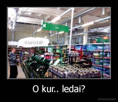 O kur.. ledai? - 