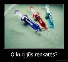 O kurį jūs renkatės? - 