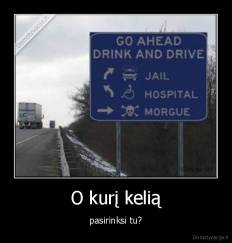 O kurį kelią - pasirinksi tu?