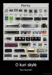 O kuri skylė - Tavo favoritė?