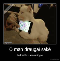 O man draugai sakė - Kad katės - nenaudingos