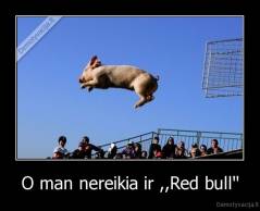 O man nereikia ir ,,Red bull'' - 