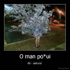 O man po*ui - Aš - sakura!
