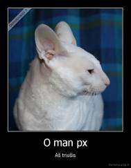 O man px - Aš triušis