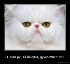 O, man px. Aš devynis, gyvenimus turiu! - 