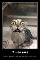 O man sakė - Kad čia bus man rojus: Pilna kačių, žuvies, mėsos, pieno, ir viskas už  - dyka !