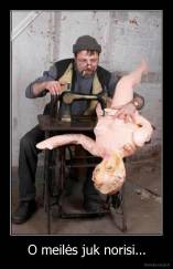 O meilės juk norisi... - 