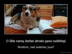 O šitie namų darbai atrodo gana sudėtingi - Norėtum, kad suėsčiau juos?