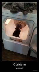 O tai čia ne - atrakcionas?