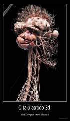 O taip atrodo 3d  - visa žmogaus nervų sistema