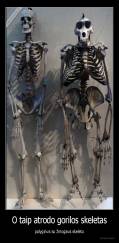 O taip atrodo gorilos skeletas - palyginus su žmogaus skeletu