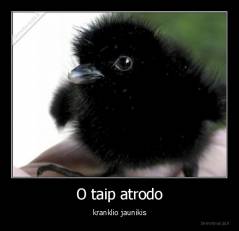 O taip atrodo - kranklio jaunikis