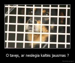 O tavęs, ar neslegia kaltės jausmas ? - 