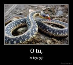 O tu, - ar bijai jų?