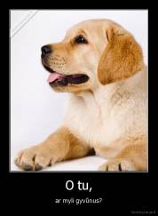 O tu, - ar myli gyvūnus?