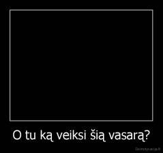 O tu ką veiksi šią vasarą? - 