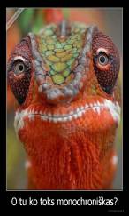 O tu ko toks monochroniškas? - 