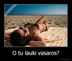 O tu lauki vasaros? - 
