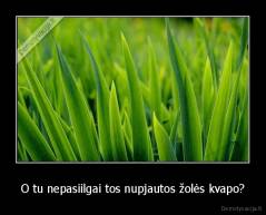 O tu nepasiilgai tos nupjautos žolės kvapo? - 