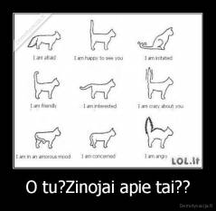 O tu?Zinojai apie tai?? - 