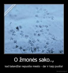 O žmonės sako.., - kad balandžiai nepuošia miesto - dar ir kaip puošia!